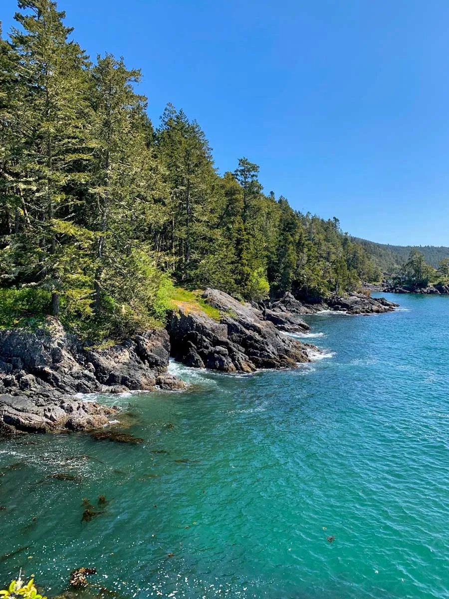 Turquoise water and evergreen coastline