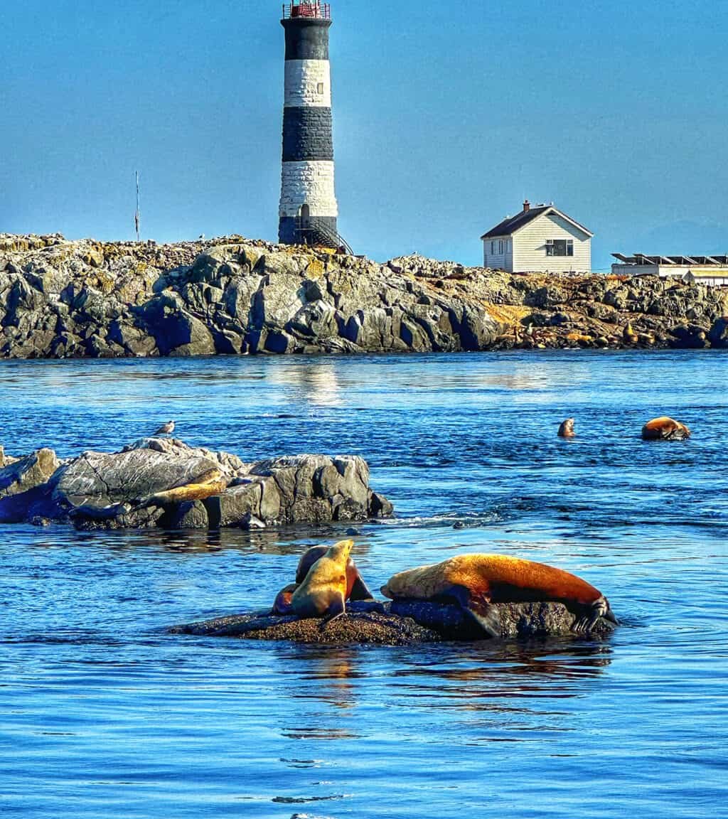 Race Rocks lighthouse with sea lions on the rocks