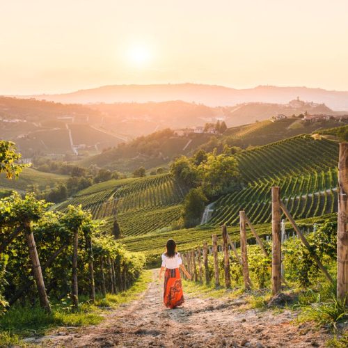 Medium-Woman-walking-in-vineyards-enjoying-the-sunset-Langhe-region-Piedmont-Italy-Unesco-site-1170710182